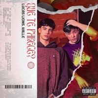 Que Te Parece? (feat. Kalle) - Single - Lucas Lions