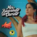 MIX BUSCANDO UN CARIÑO