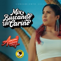 Mix Buscando Un Cariño