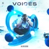 Voices - Single