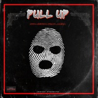 Pull Up (feat. Aleza) - Single - Nita Setina