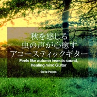 Feels like autumn insects sound,Healing mind Guitar vol.6, -GHIBLI-