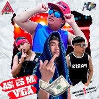 Así Es Mi Vida Remix. (feat. Mc Luis 97 Rap de Guerrero, Eleming, El Rumald) - Single - alfred 502