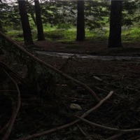 Until We Meet Again - Single - EXOSSI