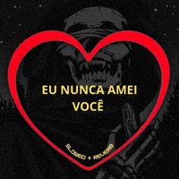 Eu Nunca Amei Você (Slowed + Reverb) - Single - Love Fluxos, DJ GR, MC MN & Mc Vitinho ZS