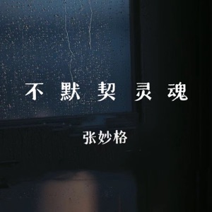 不默契灵魂 - Single