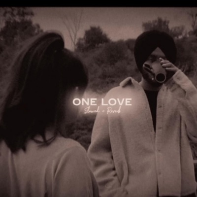 Shankar Bidhudi - One Love Lofi Song