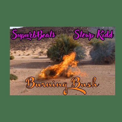 Burning Bush (feat. Stewp KiDD) - Single