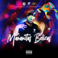 Mañanitas Belicas - Single - TonioDiazJr