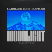 Moonlight (feat. Antrex) artwork