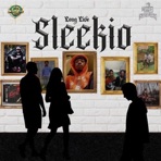 Sleekio