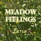 Meadow Feelings - Eeriq lyrics