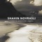 Expecting Aziza (Live in Moscow) - Shahin Novrasli lyrics