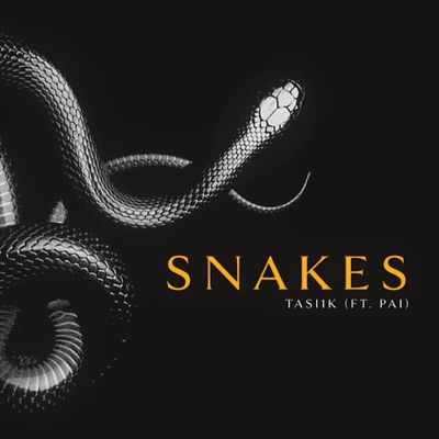 Snakes (feat. Pai) - Single