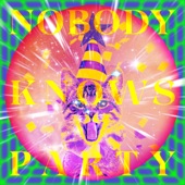 NOBODY KNOWS PARTY (feat. 玉屋2060%) artwork