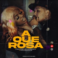 Aquerosa - Single - Treintisiete, La Sadica & Waldo Calle