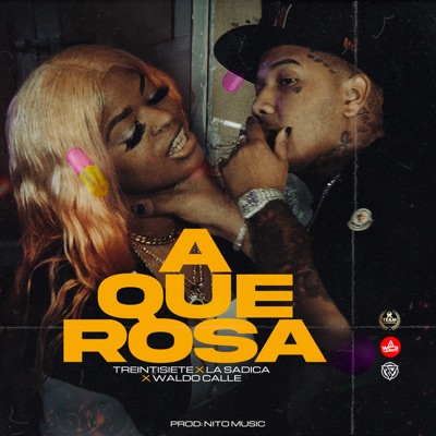 Aquerosa - Single
