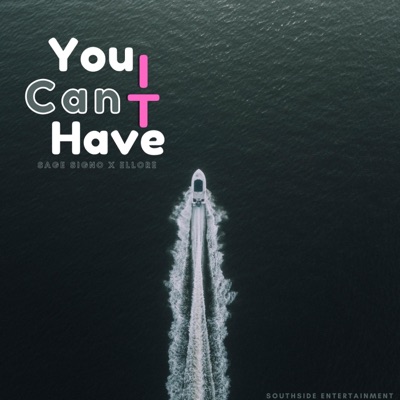 You can have it (feat. Ellore) - Single