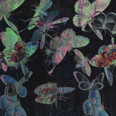 Arp8080808888 - Single