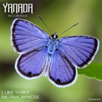 Metamorphose - Single - Luke Terry