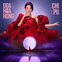 Đoá Hoa Hồng (红玫瑰) [Chengfeng 2023 Version] - Single - Chi Pu