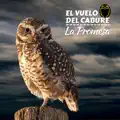 Zucchero