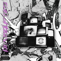 Pixiedust003 - IX Fall$