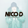 Coming In From The Cold - Nico D