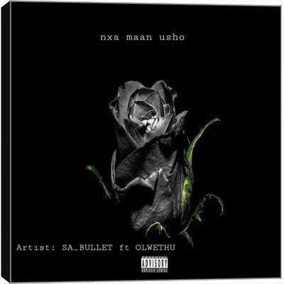 Nxa maan usho (feat. OLWETHU) - Single