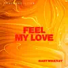 Stream & download Feel My Love - Single