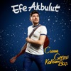 Efe Akbulut