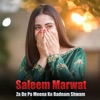 Za De Pa Meena Ke Badnam Shwam - EP