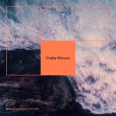 Poëta Minora (Renaissance Piano Version) artwork