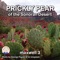 Prickly Pear of the Sonoran Desert - maxwell 3 lyrics