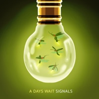 Signals - Single - A Days Wait