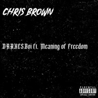 Chris Brown (feat. Meaning of Freedom) - Single - DRAKESBoi