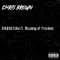 Chris Brown (feat. Meaning of Freedom) - DRAKESBoi lyrics