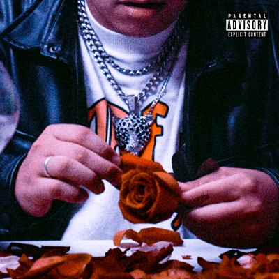 Primavera (Dose Rosa) - Single