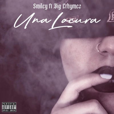 UNA LOCURA (feat. Smiley RR & BIG CRHYMEZ) - Single