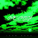Oye Chica (feat. Paxel) - Single