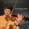 Dandelions (Violin) - Joel Sunny lyrics