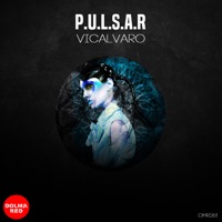 Vicalvaro - Single - Pulsar