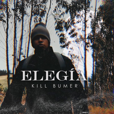 Elegía (feat. Shadow Beats Ec) - Single