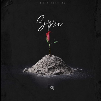Spice (feat. DDawg) - Single