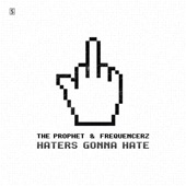 Haters Gonna Hate artwork