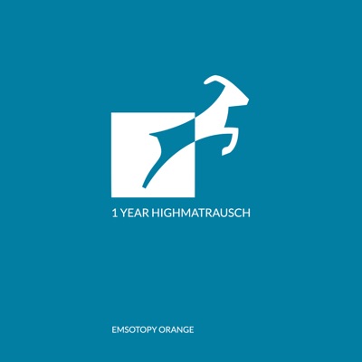 1 Year Highmatrausch (Single Edit) - Single