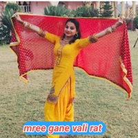 Mree Gane Vali Rat - Single - Gurjar Rasiya