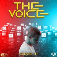 The Voice - Carvid Ti
