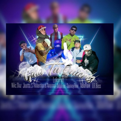 Gata Tu Quieres (feat. Loko Patt, Robertito el anormal, Nick Diaz, Jootta.S, DeloFree, QuimeyFlow & XeloFlow) - Single