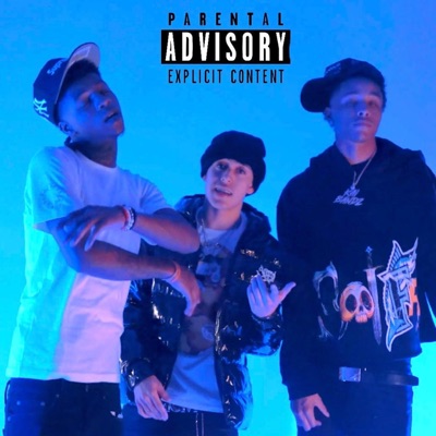 WHY (feat. EBK Young Joc & Kai Bandz) - Single